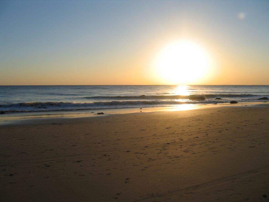 beach in california sunday things Leahs Plate 1024x768 - Sunday Things... 8.30.15