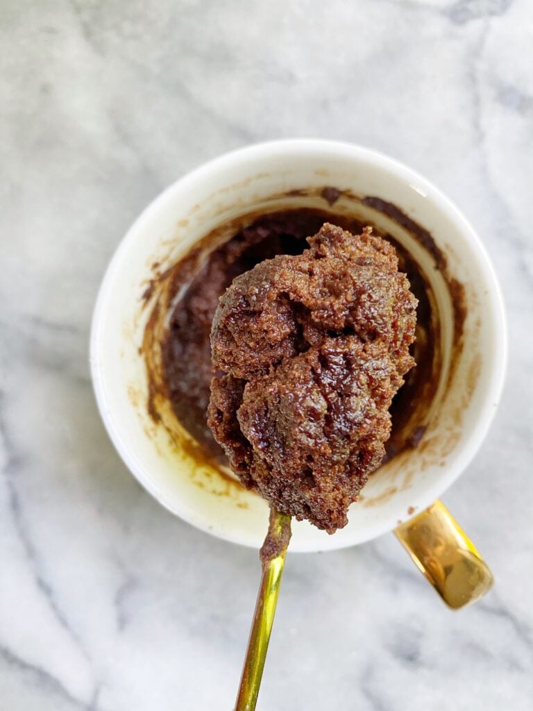 Double Chocolate Mug Cake (vegan & paleo)