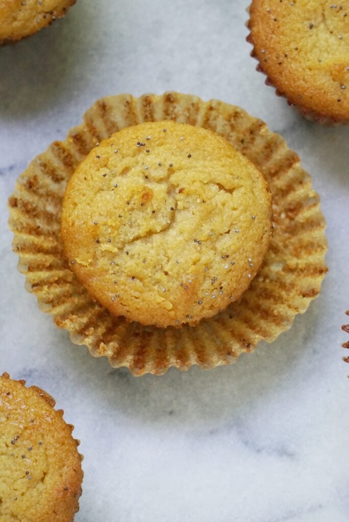 paleo lemon poppyseed muffins4 684x1024 - The BEST Paleo Lemon Poppyseed Muffins